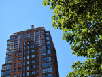 Alphatoren